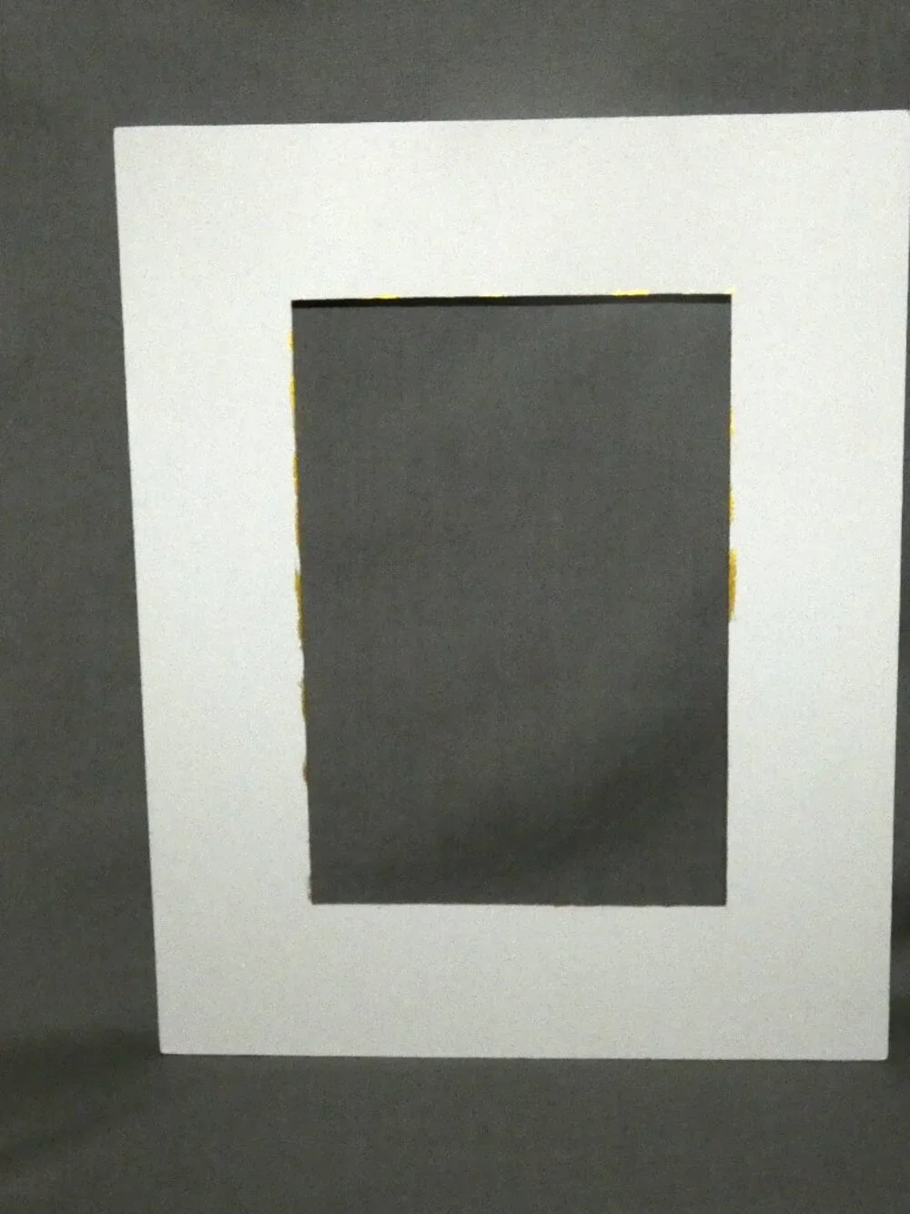 Hand Painted 8x10 White Picture Frame Mat Photo Mat White Background Gold Leaves